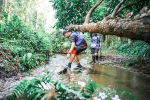 BIB: 
                            <button type="button" onclick="openModal(25517968)" class="btn btn-primary btn-sm float-right btn-popup" data-toggle="modal" data-target=".modal-high-quality">
                        <i class="fas fa-shopping-cart"></i> Add to Cart
                    </button>
                                            <button type="button" onclick="isThisMe(25517968, true)" class="btn btn-success btn-sm float-right btn-popup btn-isme hidden" data-toggle="tooltip" data-placement="bottom" title="นี่คือรูปของคุณใช่ไหม คลิกที่นี่เพื่อเอาเข้าอัลบั้ม">
                        <i class="fas fa-plus"></i> Add to album
                    </button>
                    <button type="button" onclick="isThisMe(25517968, false)" class="btn btn-warning btn-sm float-right btn-popup btn-isnotme hidden">
                        <i class="fas fa-ban"></i> Remove from album
                    </button>